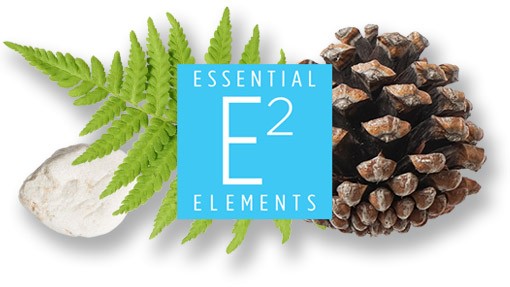 E2 Essential Elements - High End Organic Brand
